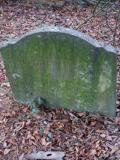 image of grave number 199491